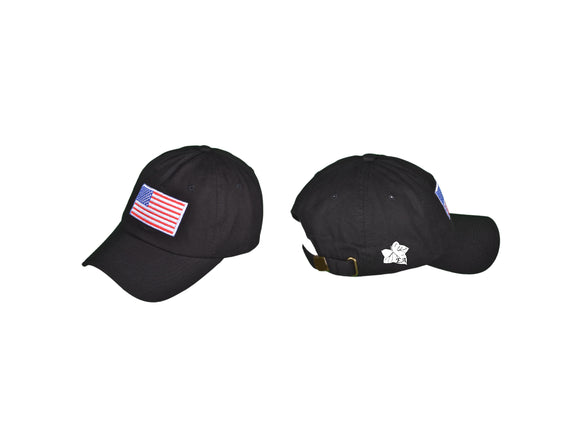 Patriotic Dad Hat - Enlightened Allegiance